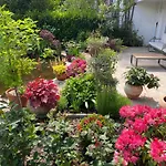 Appartamento Mit Moselblick Klotten
