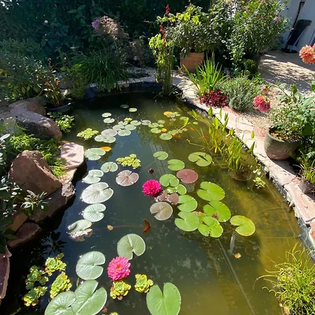 Apartment Mit Moselblick Klotten