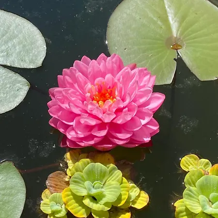 Mit Moselblick Klotten