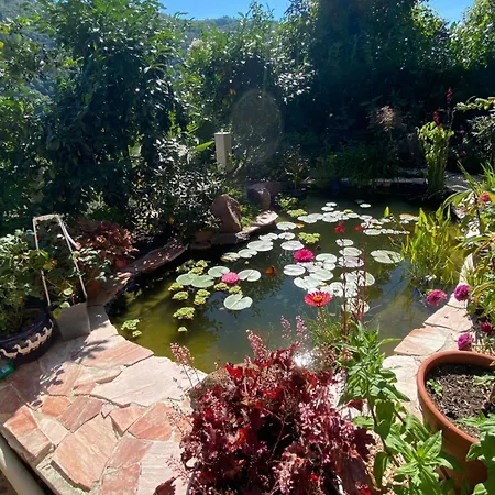 Apartamento Mit Moselblick