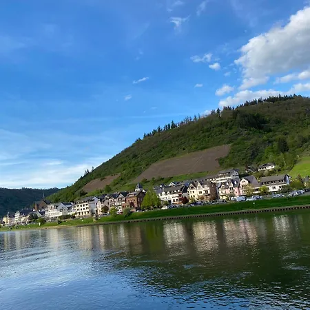 Mit Moselblick 아파트 *