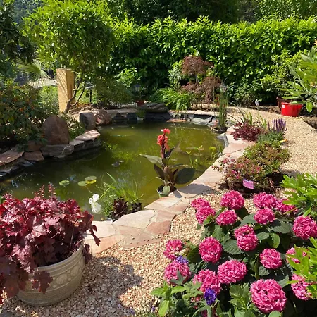 Mit Moselblick Klotten