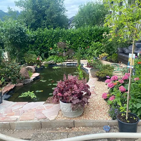 Mit Moselblick * Klotten