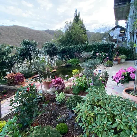 Apartamento Mit Moselblick