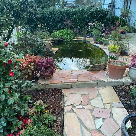 Daire Mit Moselblick *