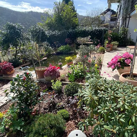 Διαμέρισμα Mit Moselblick