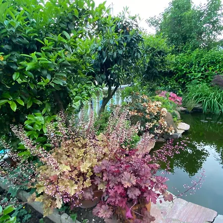 Mit Moselblick Διαμέρισμα *