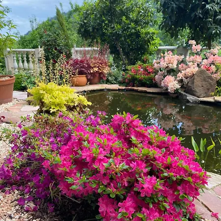 Daire Mit Moselblick *