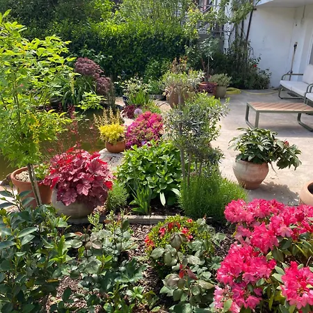 Διαμέρισμα Mit Moselblick Klotten