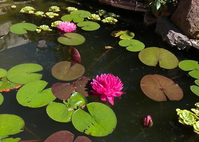 Mit Moselblick דירה *