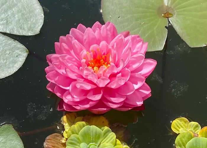 Mit Moselblick 클로텐