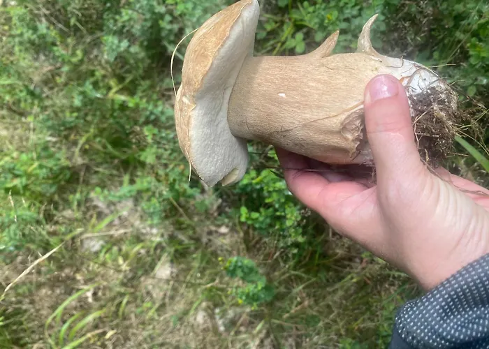 아파트 Mit Moselblick *