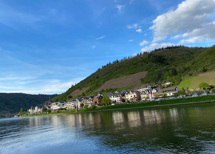 Mit Moselblick 아파트 *