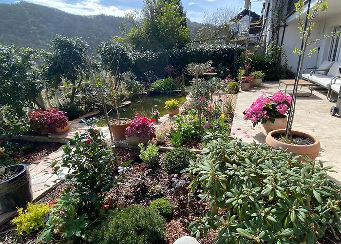 דירה Mit Moselblick