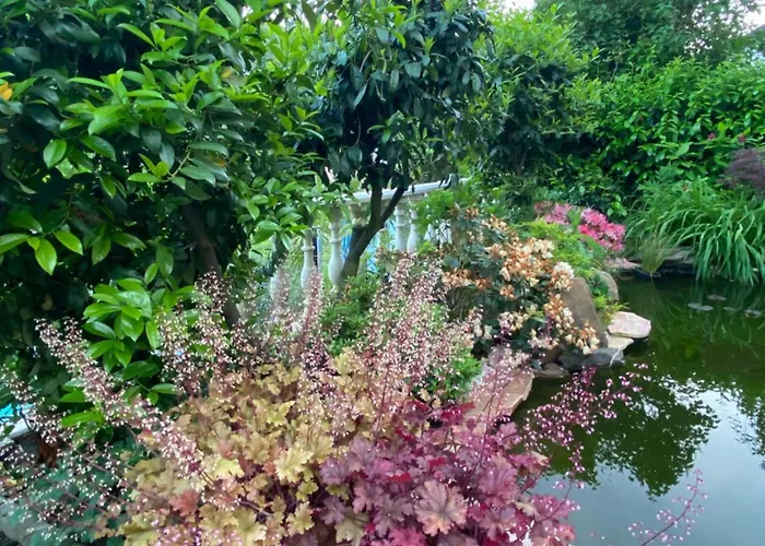 Mit Moselblick 아파트 *